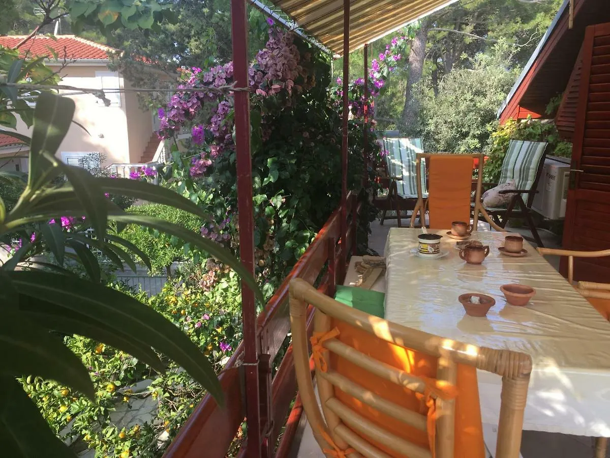 Apartmani Matas Petrčane Hırvatistan