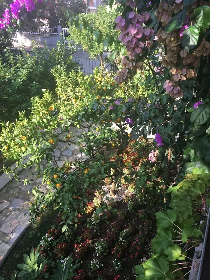 Apartmani Matas Petrcane
